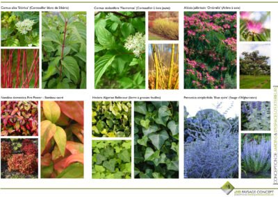 Amenagement exterieur particulier - 2B paysage concept - bureau d’étude spécialisé dans le domaine de l’architecture du paysage.